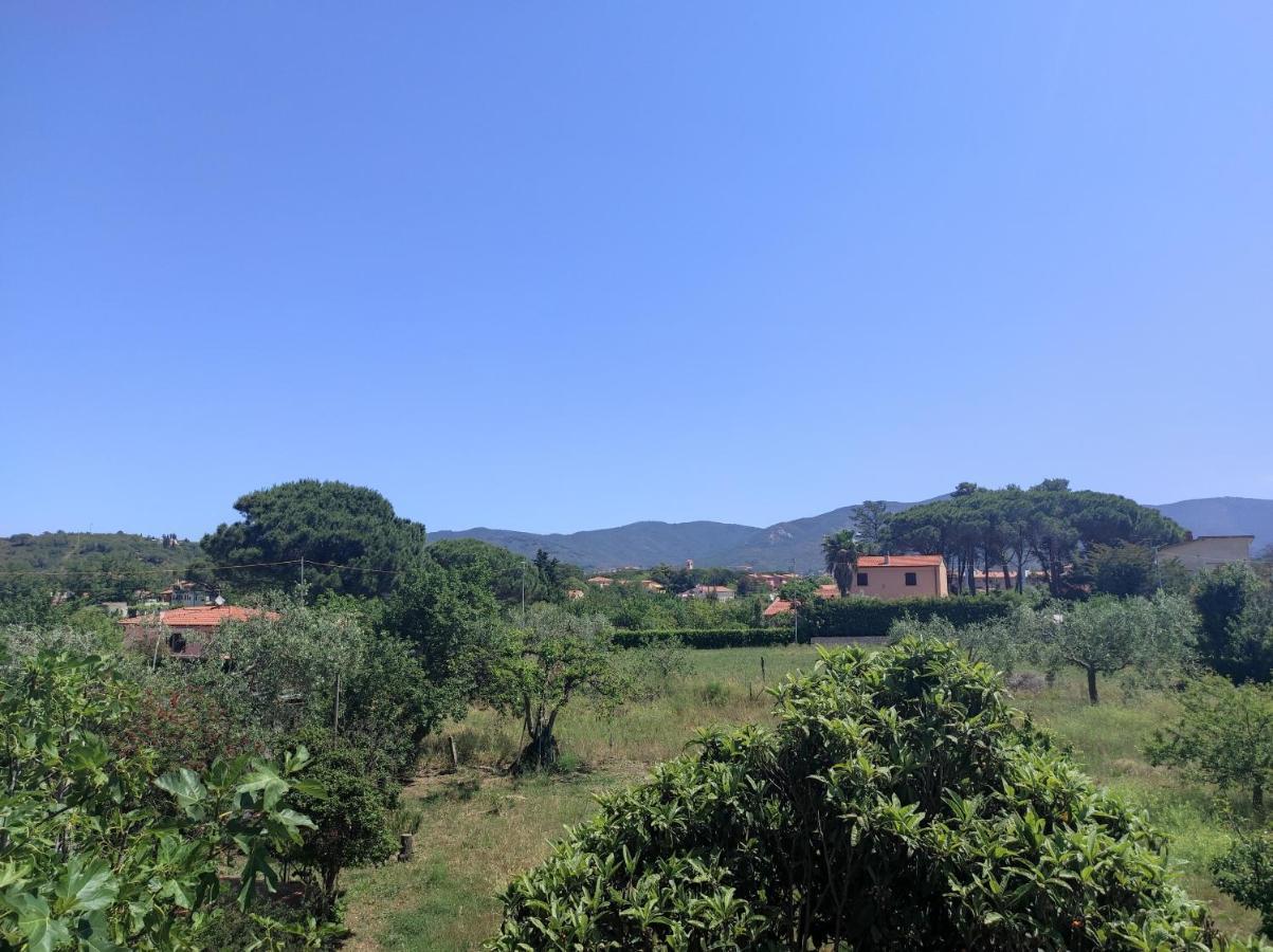 Villa Very II 坎普码港 外观 照片